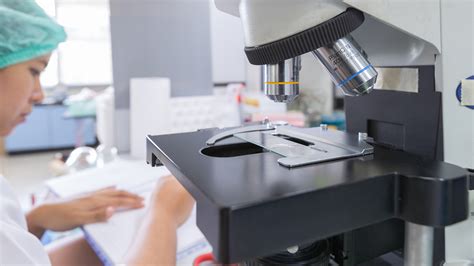 citolaudos|laboratório de anatomia e citopatologia.
